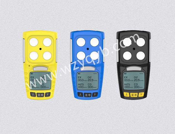 便攜式氣體檢(jian)測儀多組分